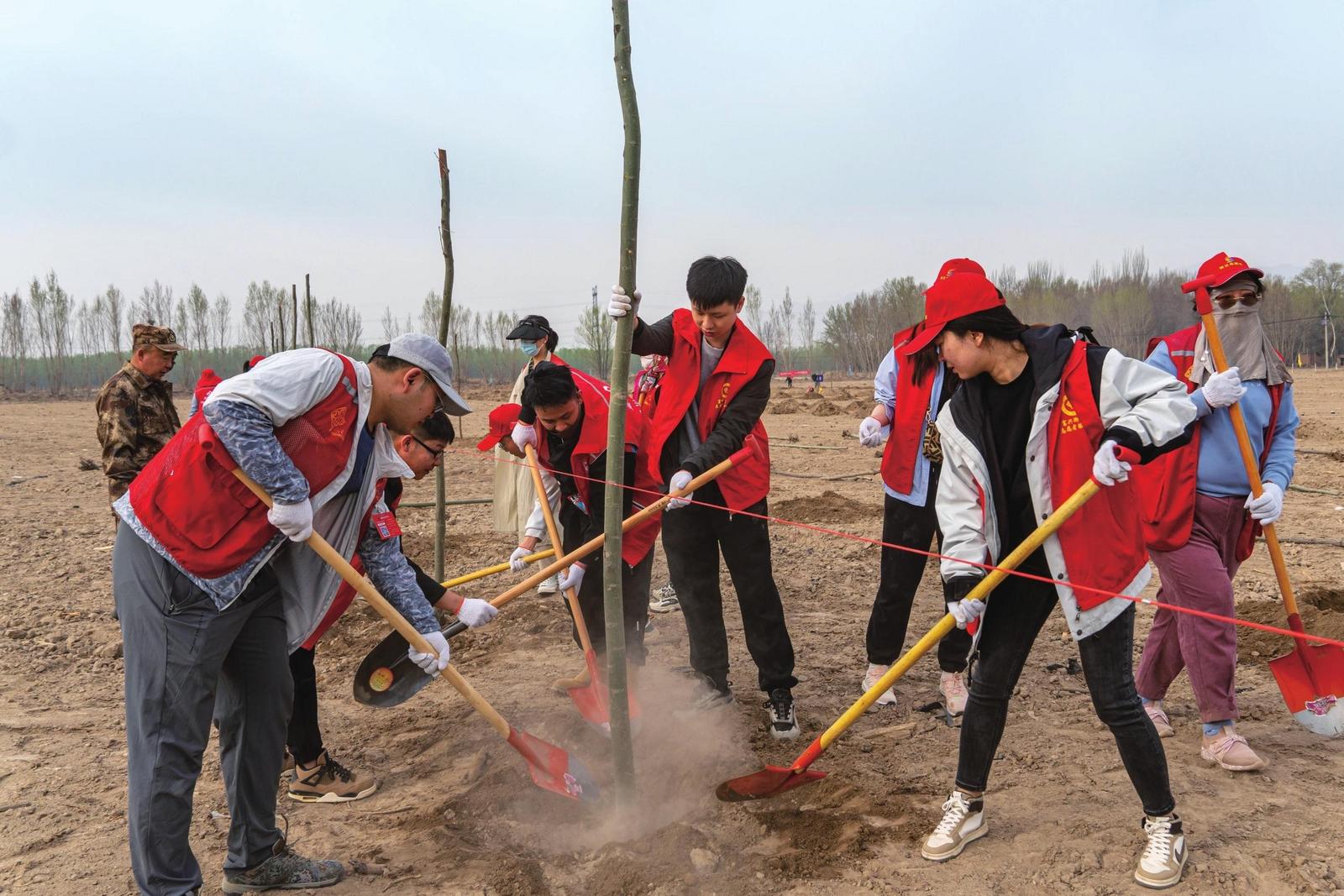 自動(dòng)化植樹設(shè)備助力荒漠化地區(qū)生態(tài)恢復(fù)進(jìn)程