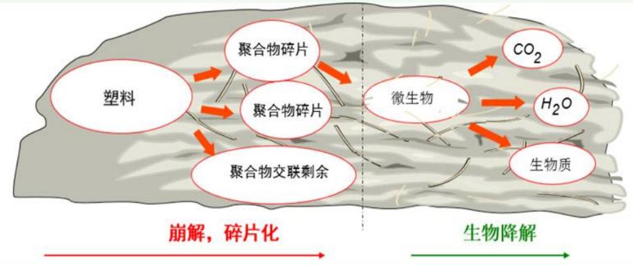 生物降解塑料技術應對未來垃圾污染挑戰(zhàn)的解決方案