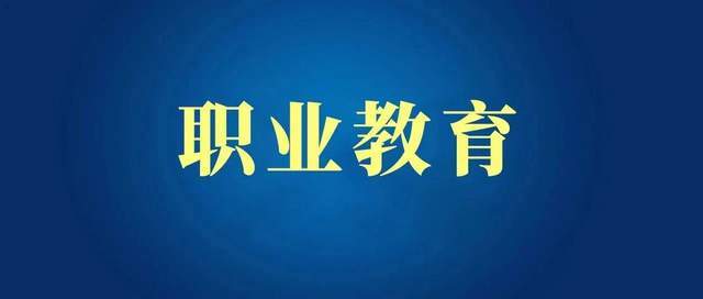 職業(yè)教育體系完善與年輕人就業(yè)選擇多樣性探討分析