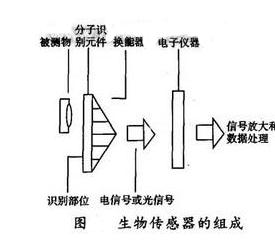 生物傳感器在糖尿病監(jiān)測中的創(chuàng)新應(yīng)用