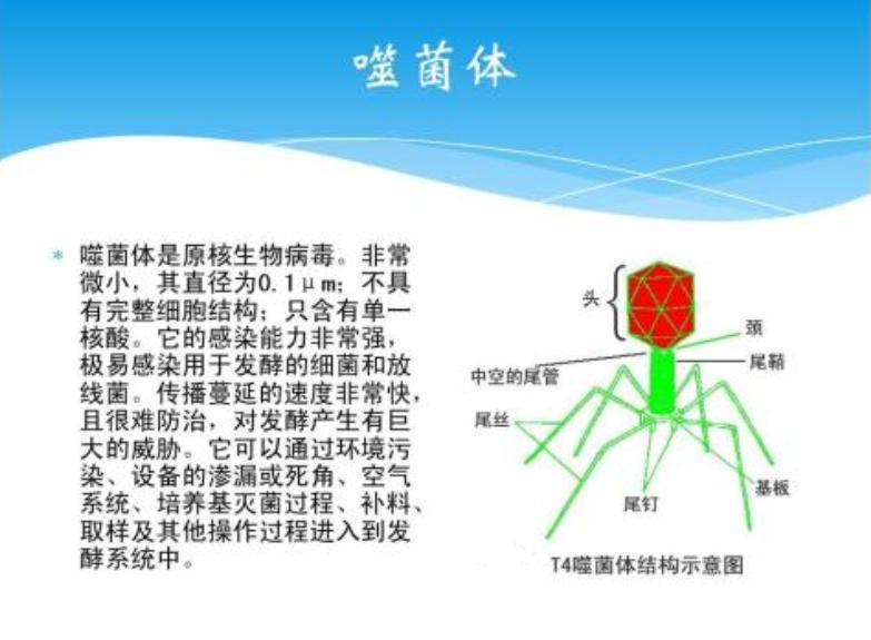 微生物基因組研究揭示抗生素耐藥性成因的新發(fā)現(xiàn)