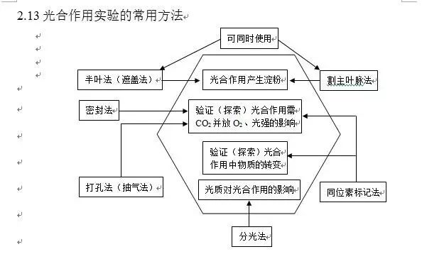 生物光合作用系統(tǒng)，揭示自然能源之奧秘