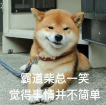 警犬的活力與責任，日常工作的縮影