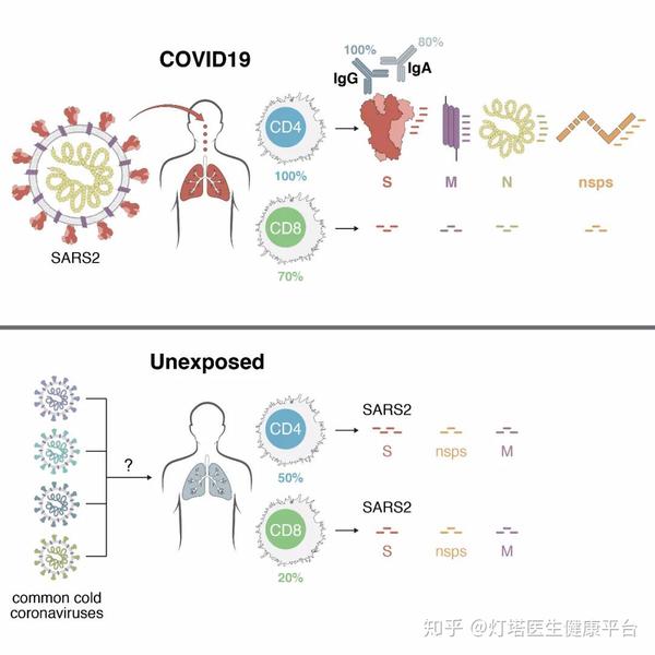 全球新冠疫苗接種進展面臨變異毒株挑戰(zhàn)，公共衛(wèi)生應(yīng)對策略與全球挑戰(zhàn)