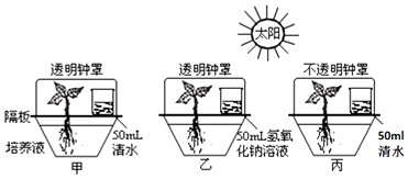 生物光合作用技術(shù)助力室內(nèi)空氣凈化進程