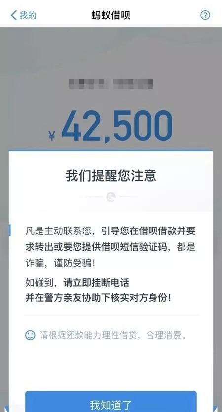 支付寶8折事故深度解析與反思，螞蟻集團的應對策略與反思