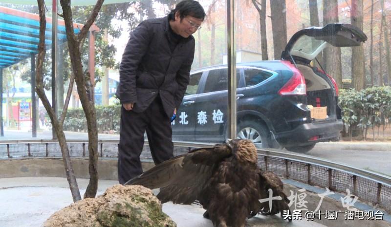 雷波县康复事业单位最新项目引领康复服务事业新发展