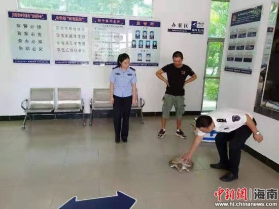瓊海市公安局最新動(dòng)態(tài)報(bào)道