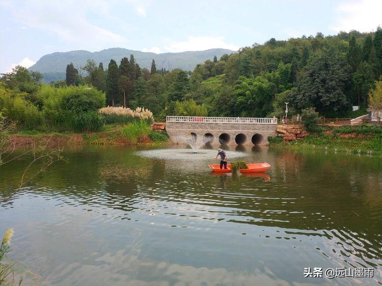 自然村的领航者，引领乡村走向繁荣的新领导力量