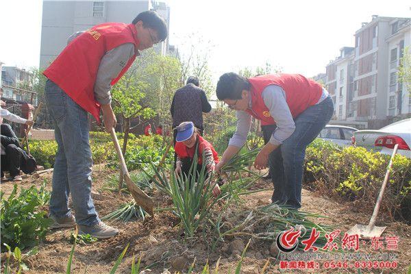 新興社區(qū)居委會(huì)最新發(fā)展規(guī)劃概覽