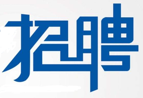 鸠江区自然资源和规划局招聘启事概览