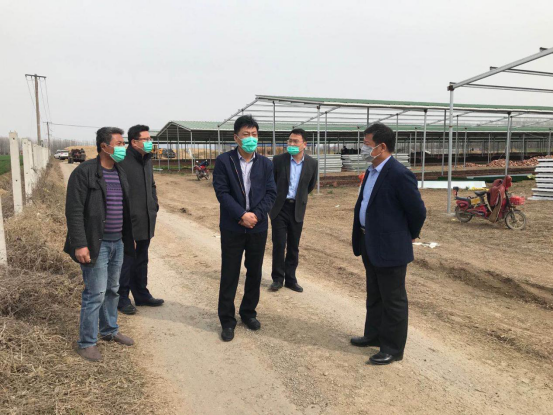 安图县农业农村局最新项目深度探讨