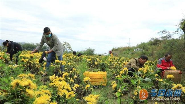 橫嶺瑤族鄉(xiāng)新聞速遞，最新報道匯總