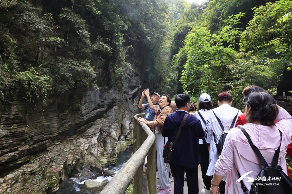 高坪鎮(zhèn)最新招聘信息詳解及解讀指南