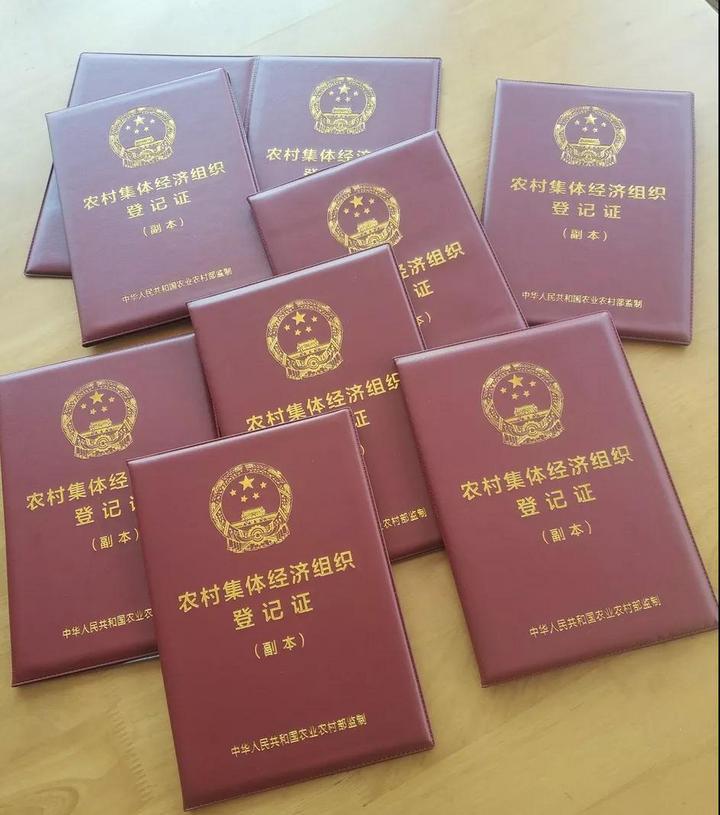 云和縣自然資源和規(guī)劃局發(fā)布最新新聞動態(tài)