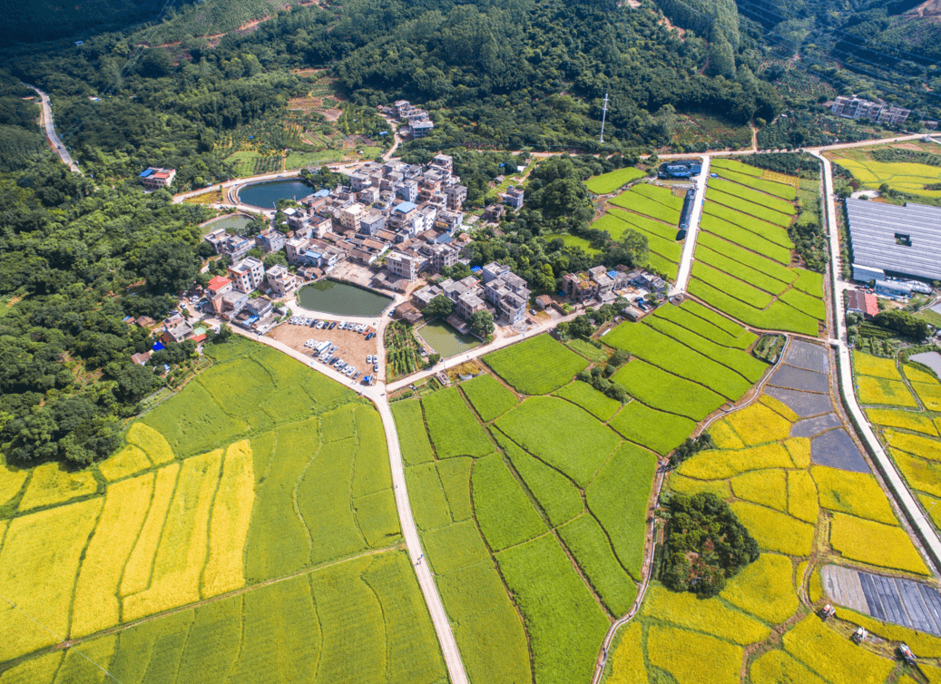 三星村最新天氣預(yù)報(bào)信息