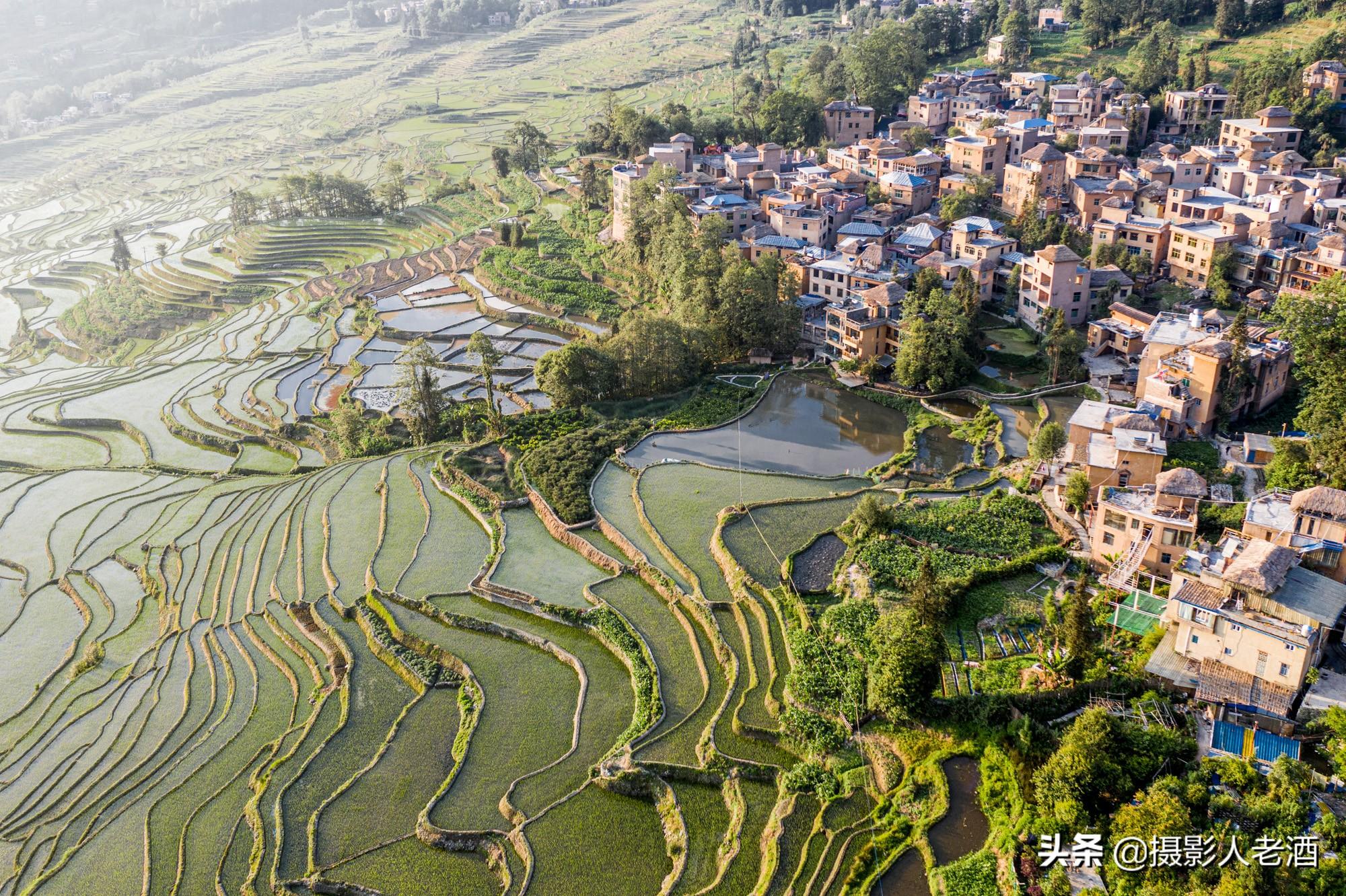 山地生态农业的未来展望，发展方向与前景探讨