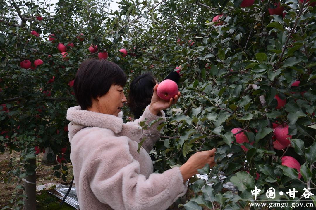 苹果坚守多元化战略，反对终止提案，推动可持续发展进程