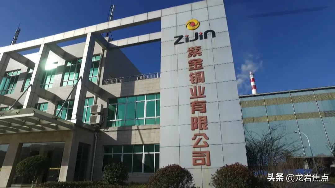 上杭县防疫检疫站领导团队，引领担当，共抗疫情新篇章