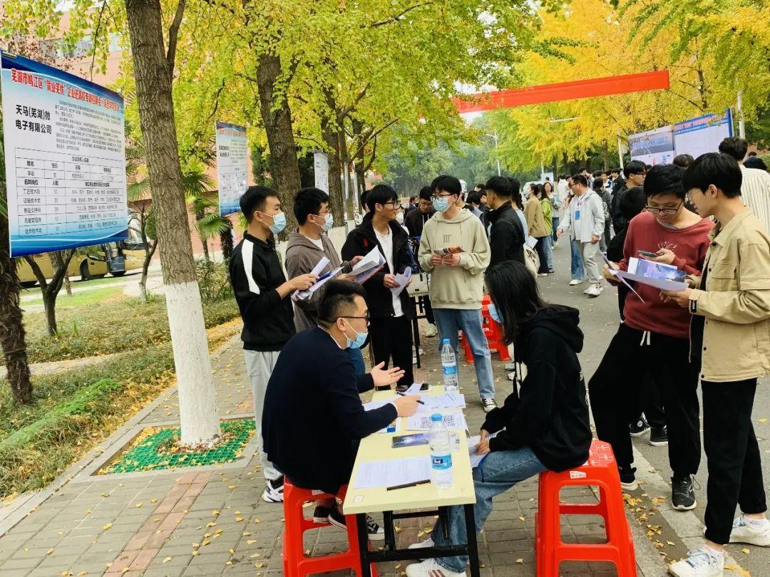 鸠江区小学最新招聘公告概览